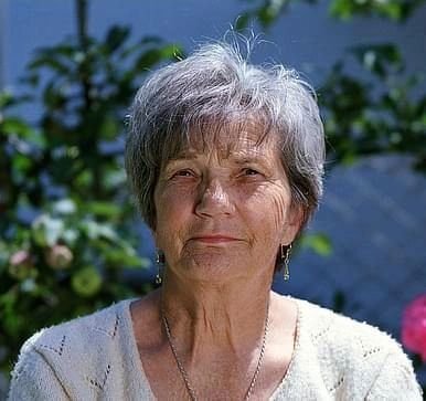 Nerve Soothe Users Reviews